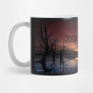 Lake Bonney Mug